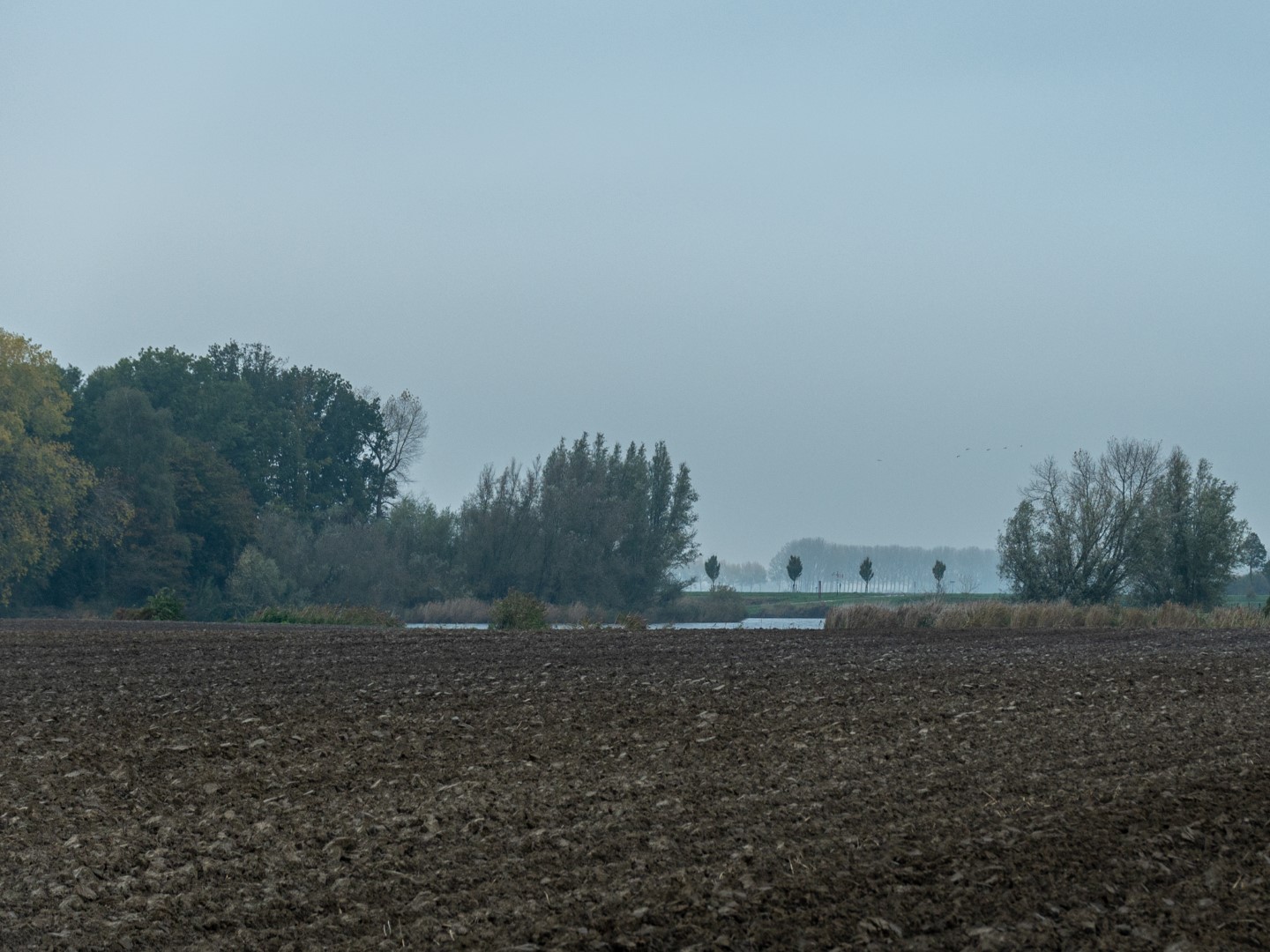 Zonsopgang in Sint Kruis