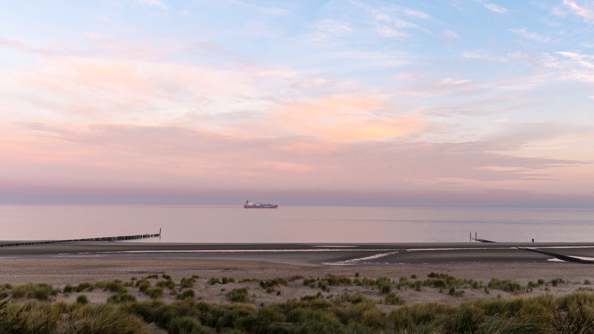 Week in beeld – week 46