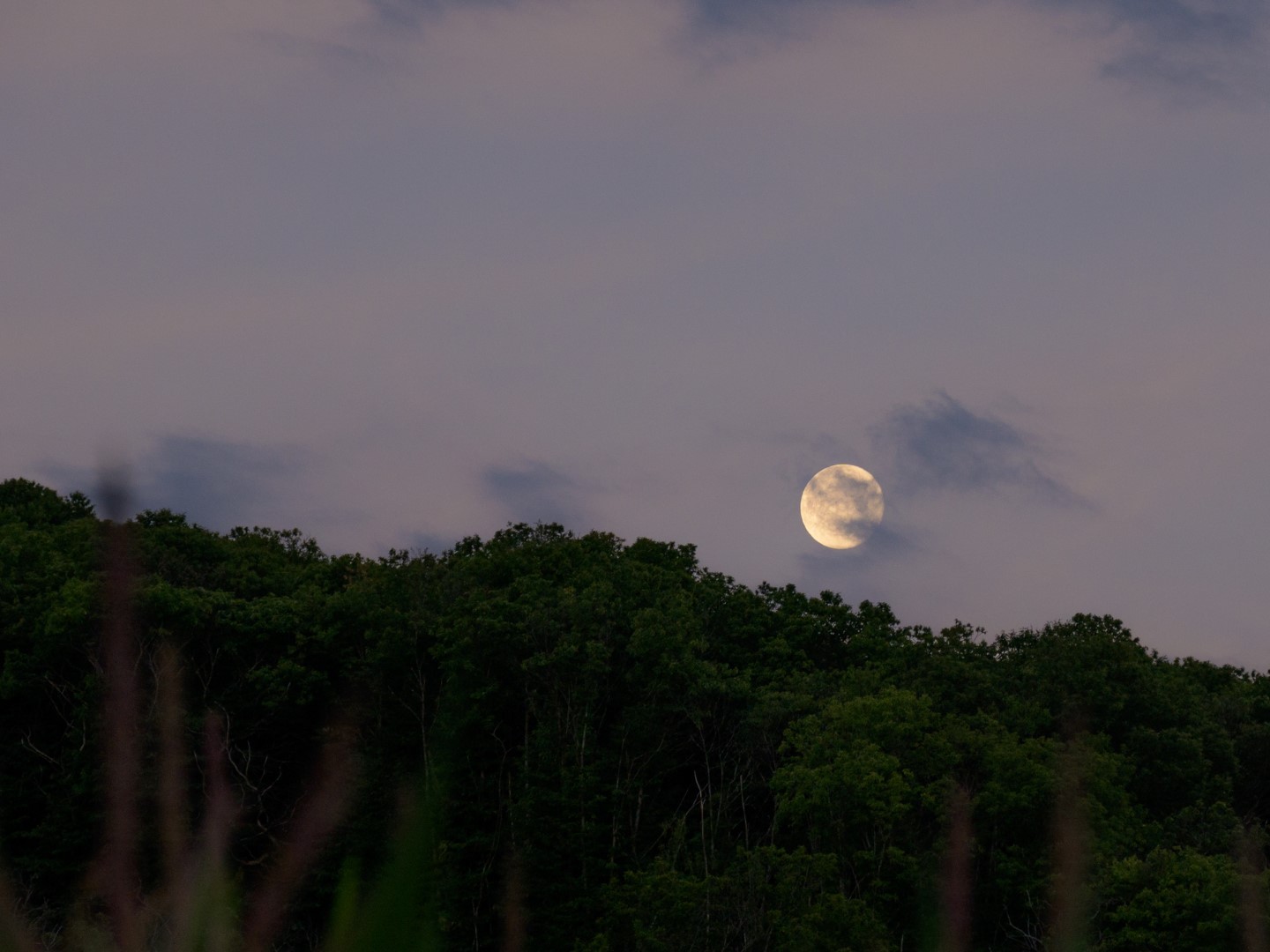 Op reis revisited: dag 13/14