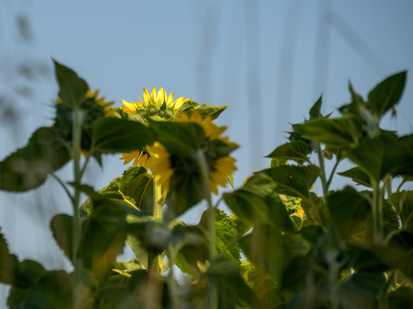 Op reis revisited: dag 16