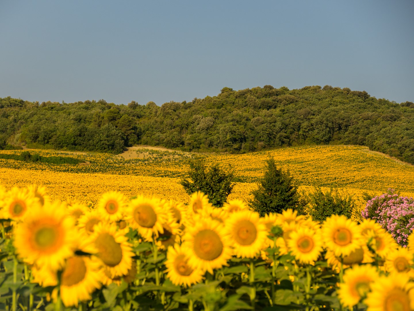 Op reis revisited: dag 17