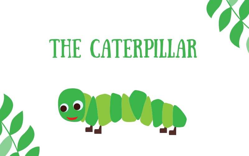 The Caterpillar #wedraaiendoor