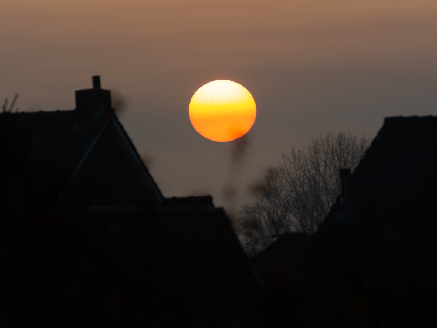 Jaar in beeld – deel 1