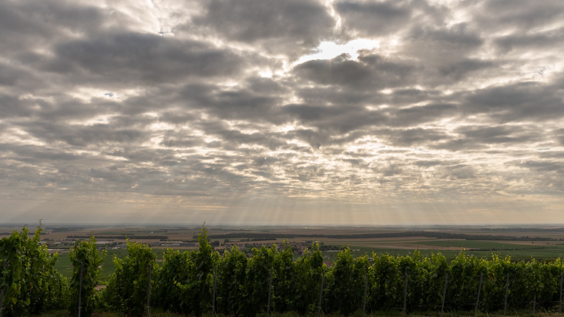 Op reis revisited: dag 24/25/26