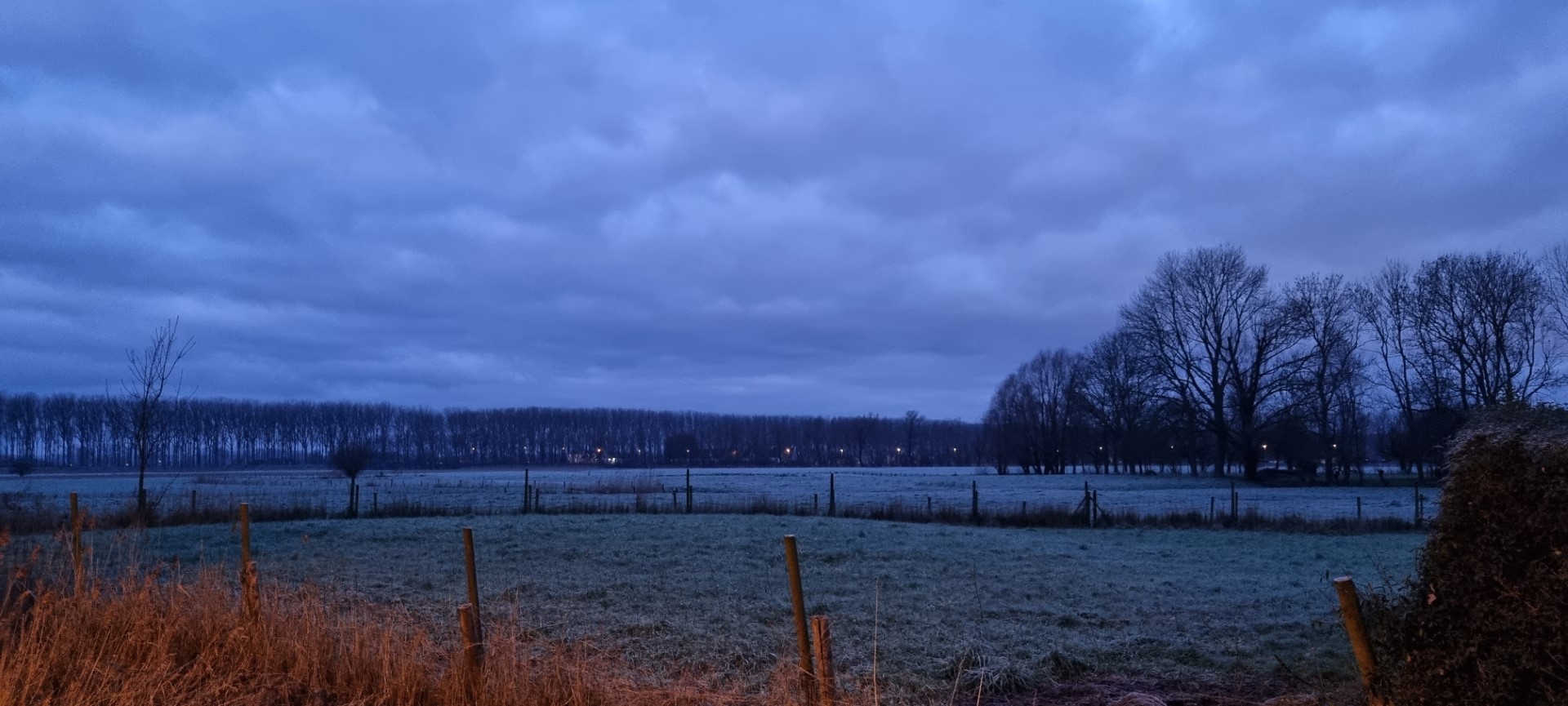 Week in beeld – week 4