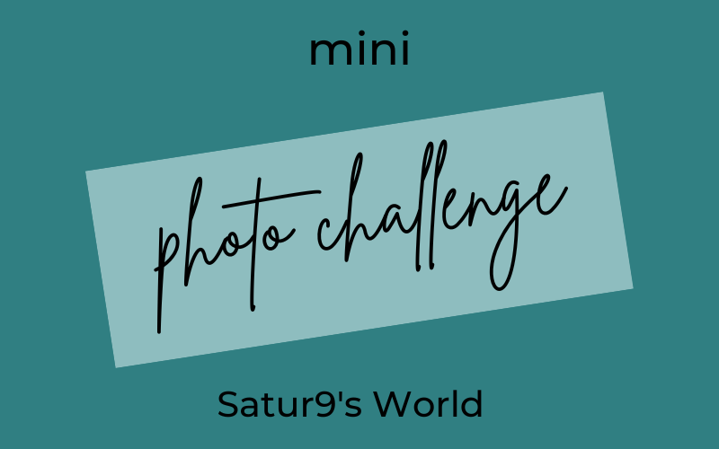 Mini Photo Challenge