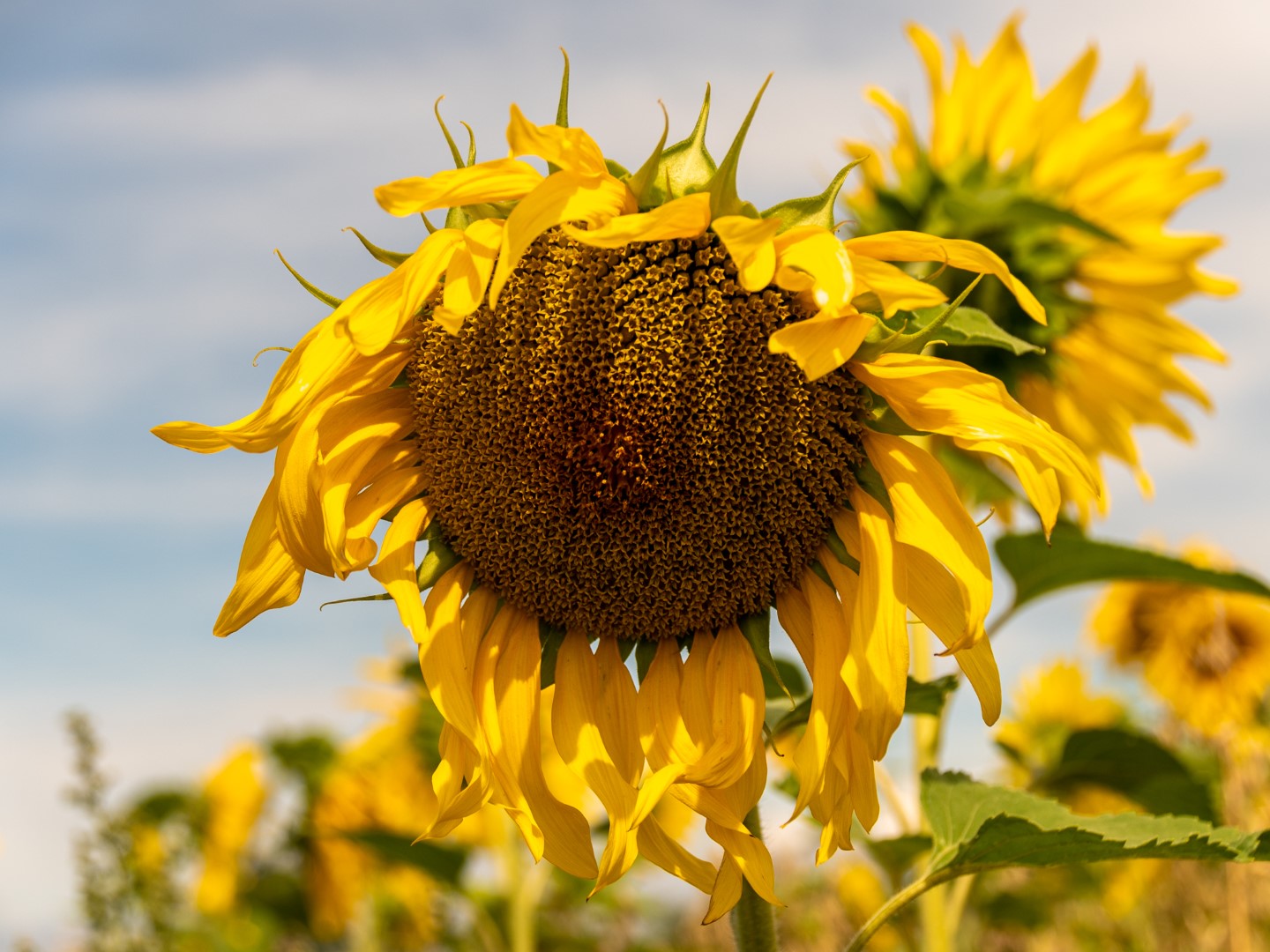 Op reis revisited: dag 31 en 32