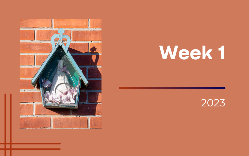 Week in beeld – week 1