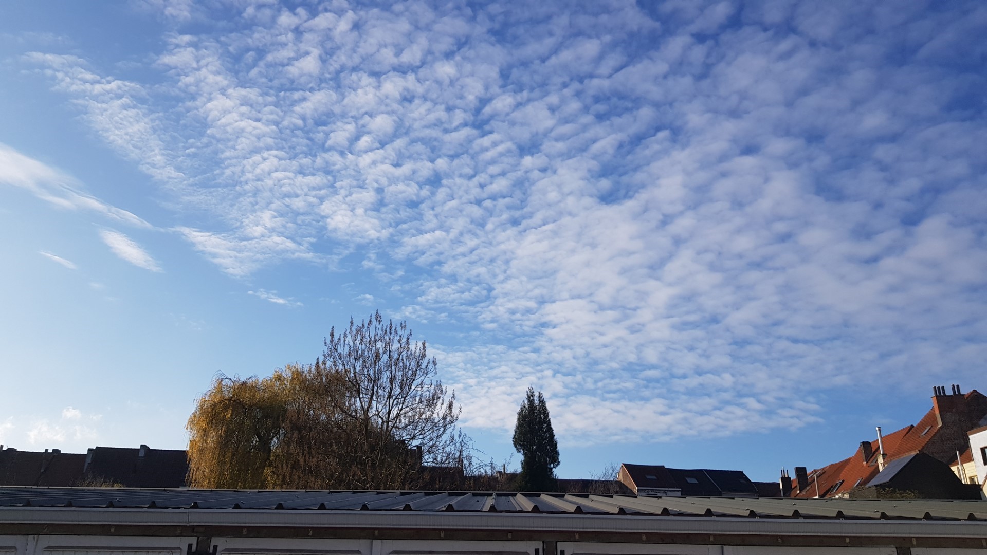 Wolkenluchten kijken