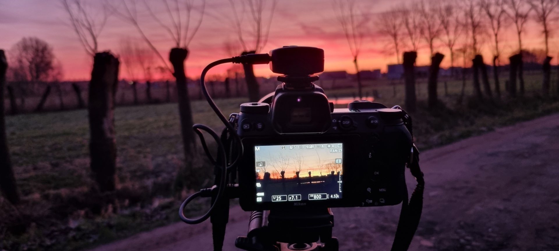 Week in beeld – week 6