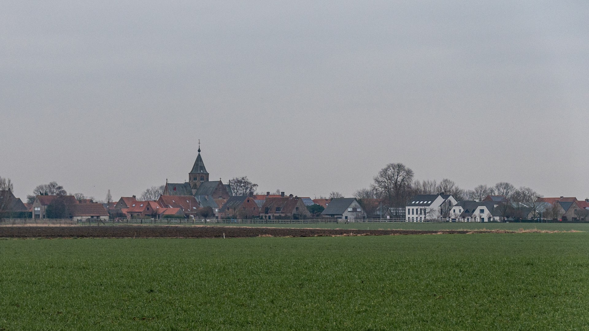 Week in beeld – week 5