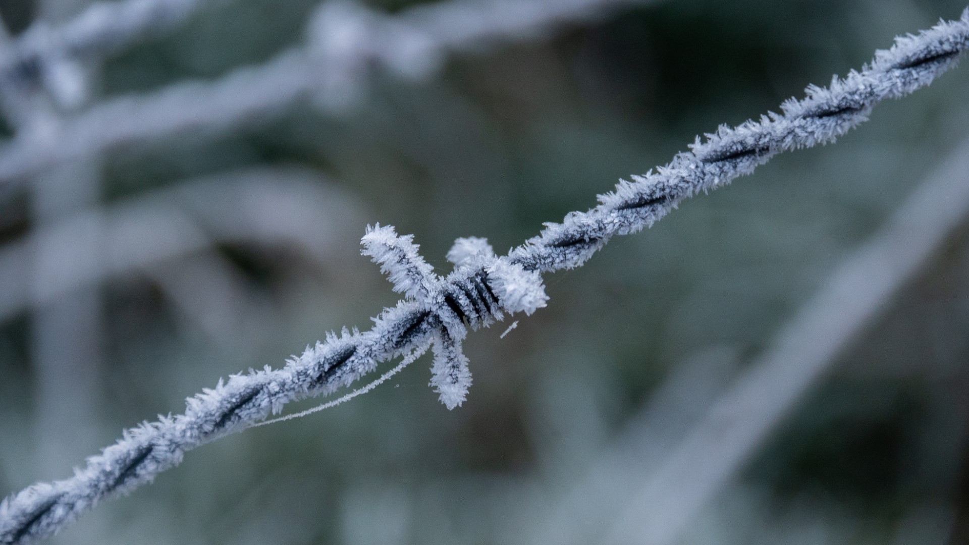 IJzige wandeling in Waarschoot
