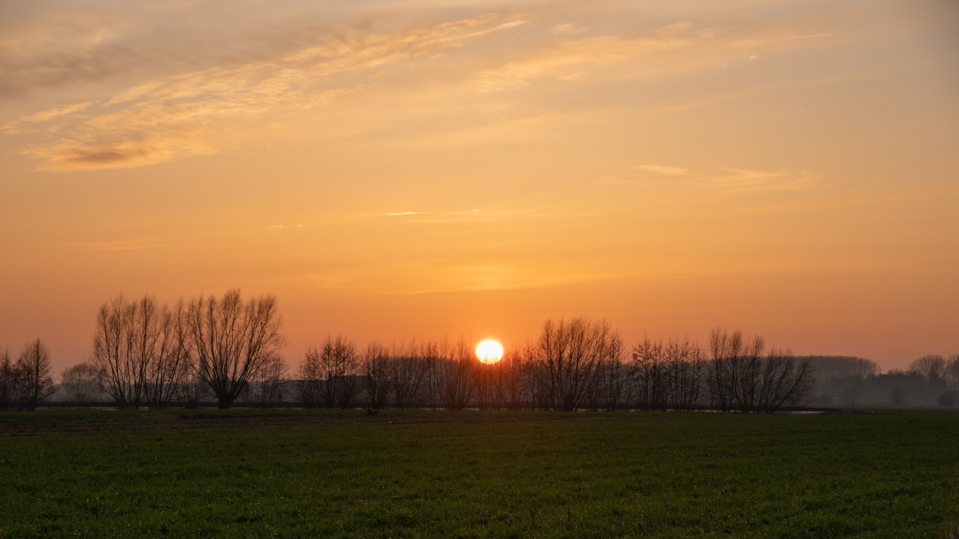 Week in beeld – week 7