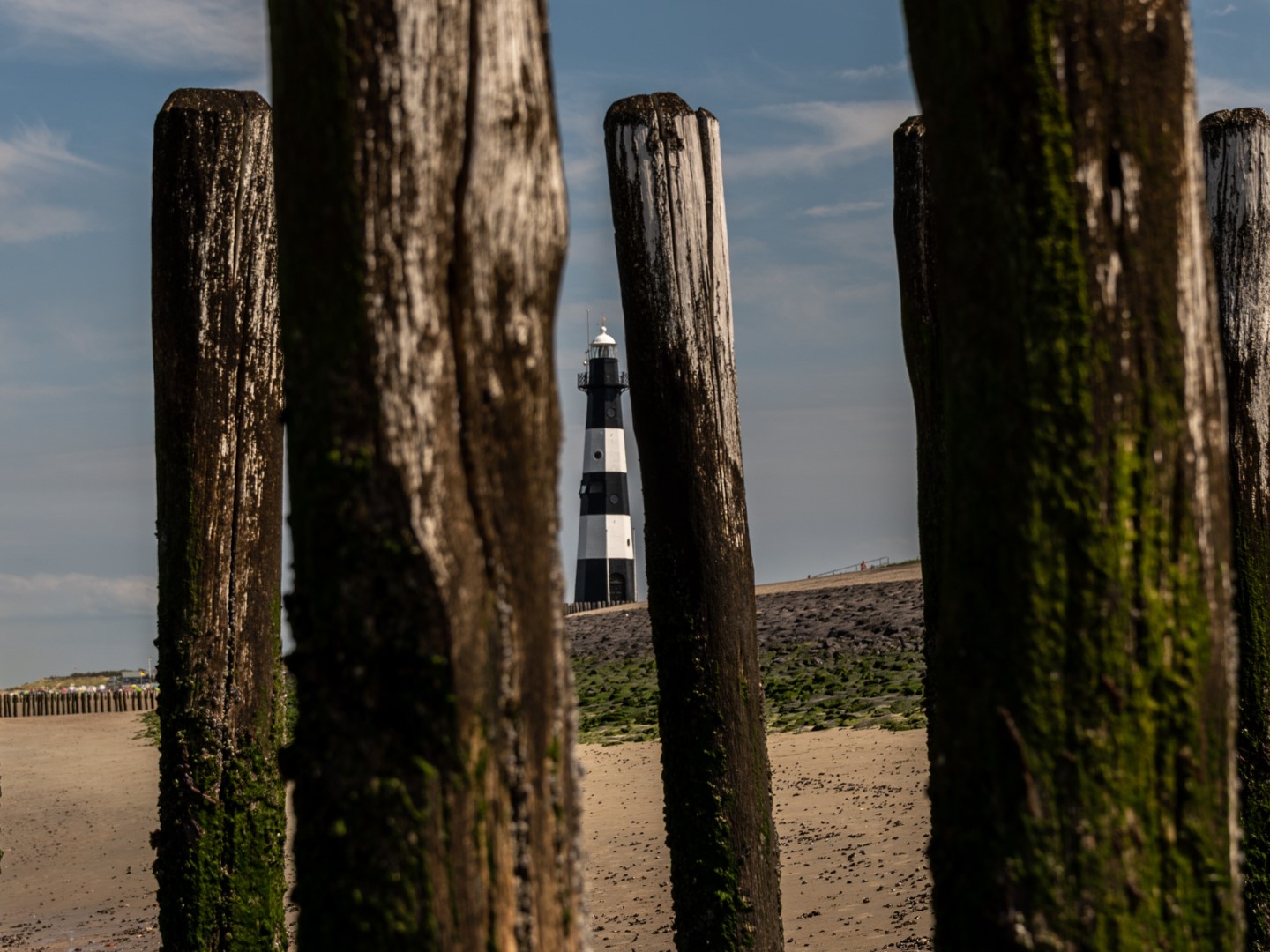 Op reis revisited: dag 34