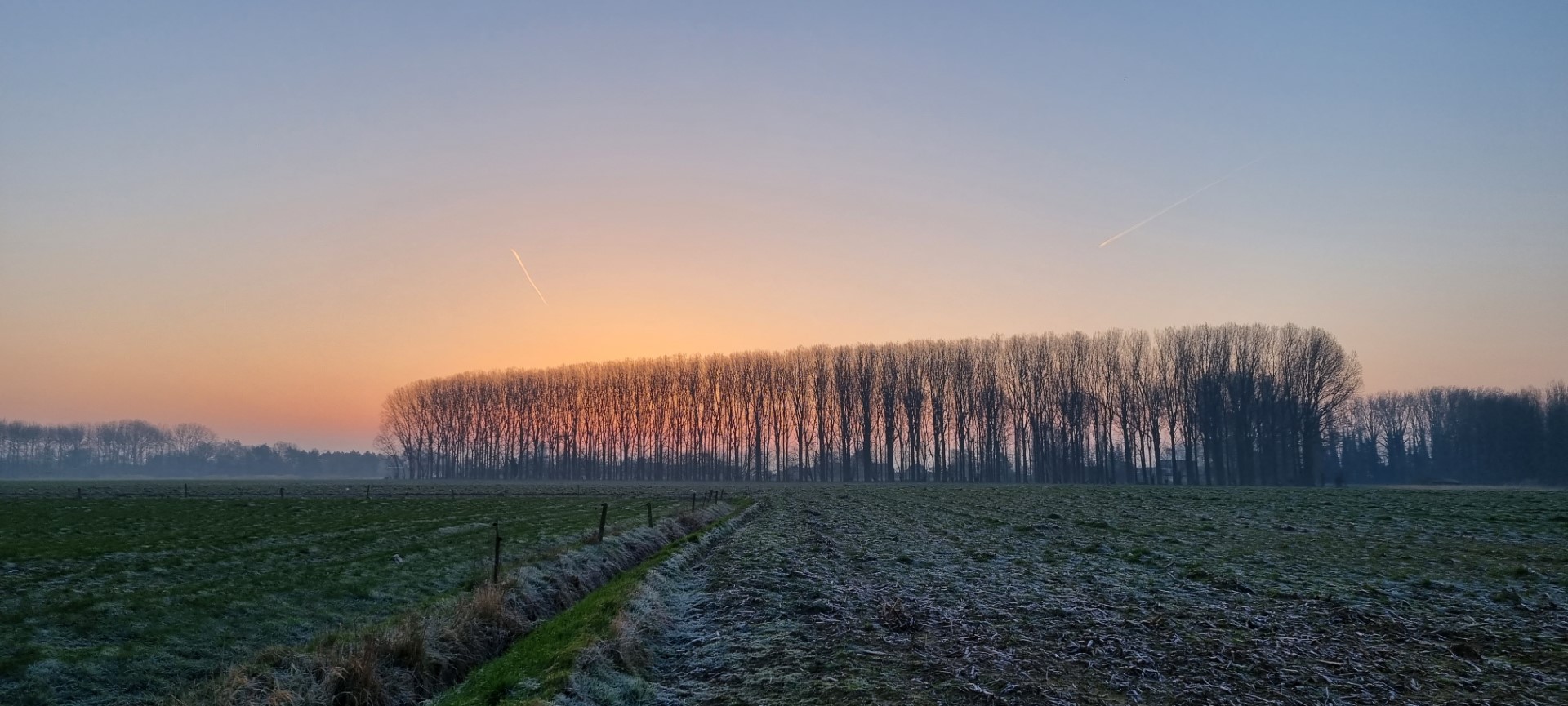 Week in beeld – week 9