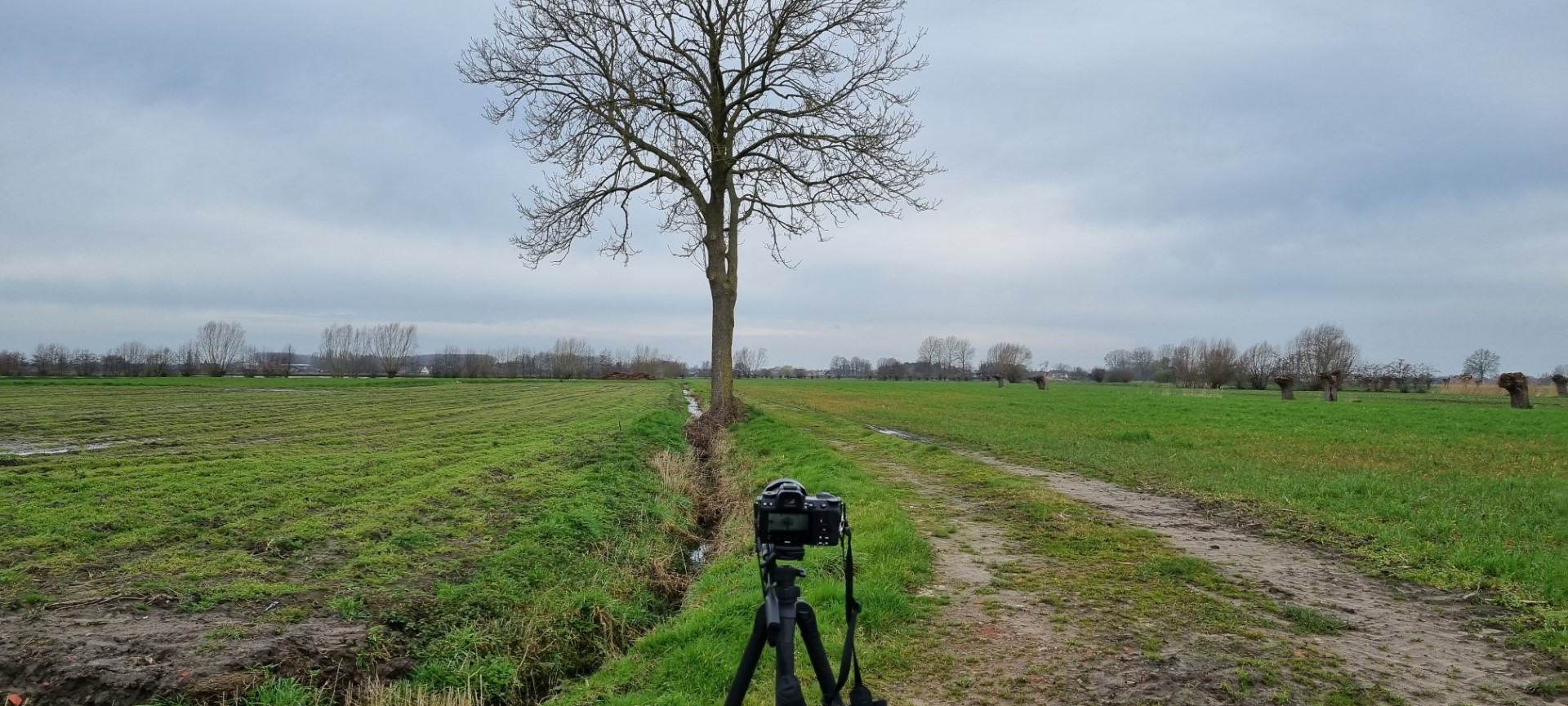 Week in beeld – week 12