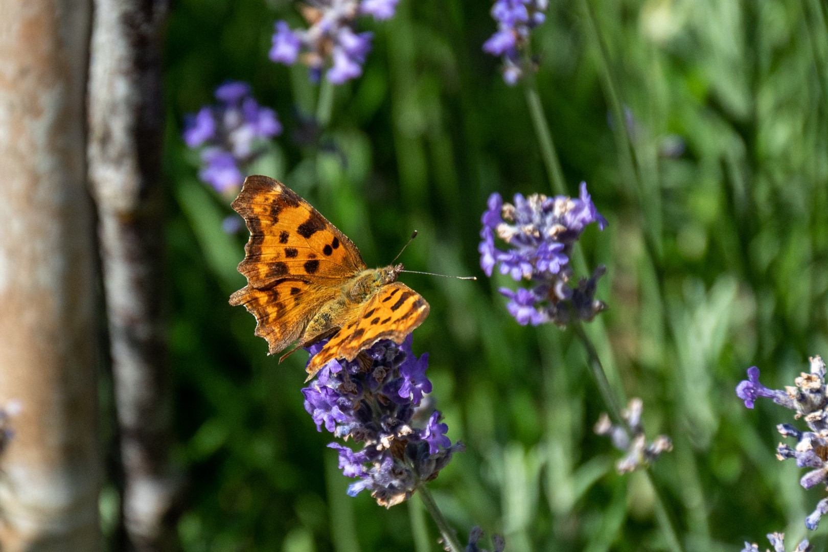 Wat is mindfulness voor mij?