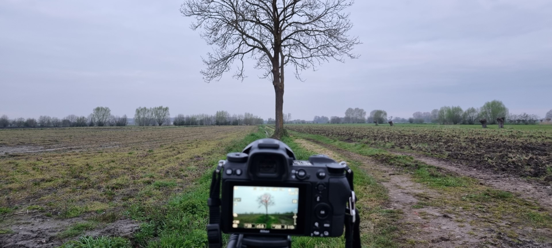 Week in beeld – week 16