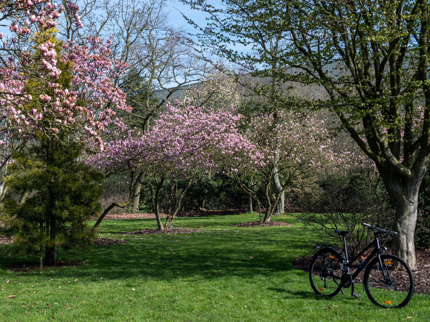 Week in beeld – week 14