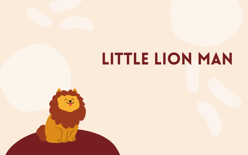 Little Lion Man #wedraaiendoor