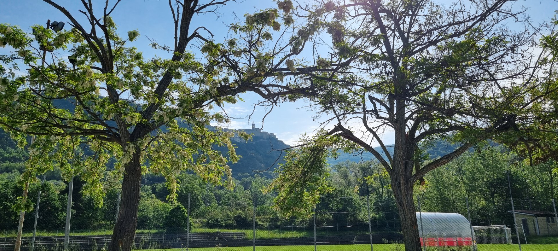 ItaliÃ« (6): FelicitÃ  (*)