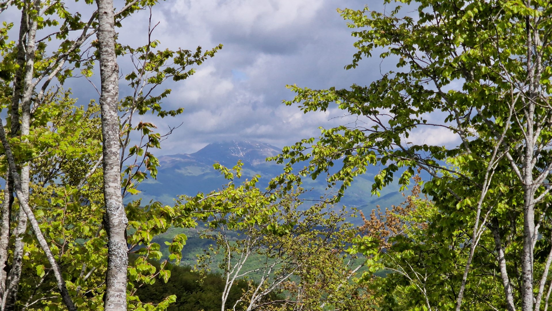 ItaliÃ« (9): Here Comes the Rain Again