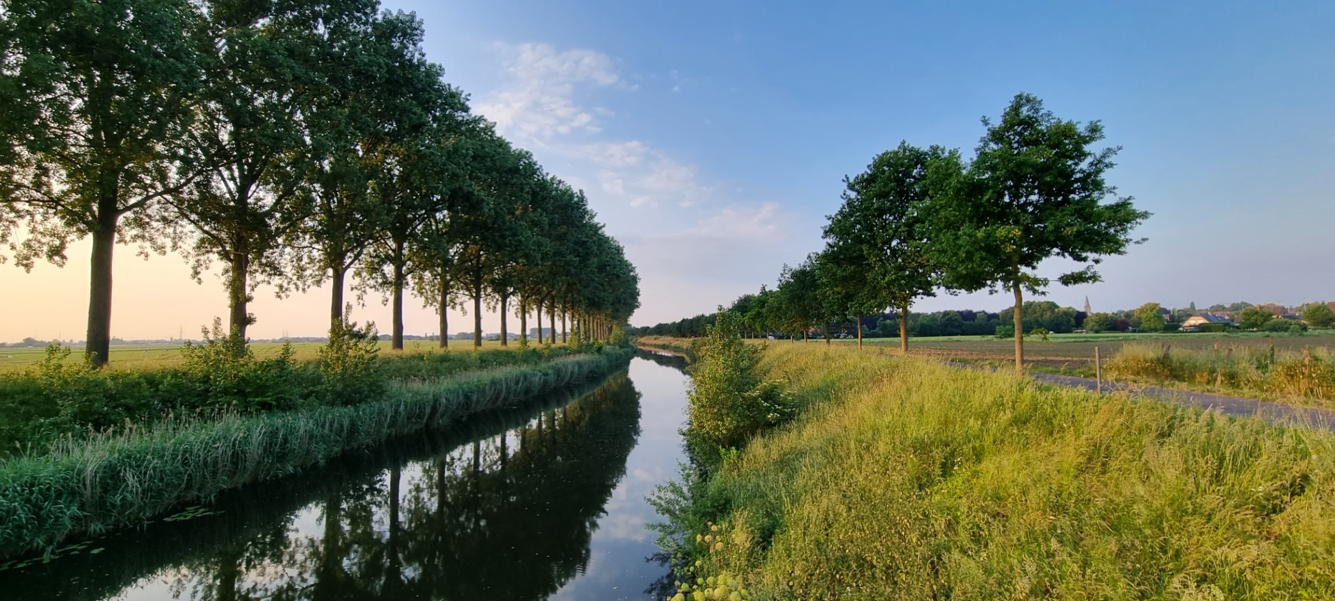 Week in beeld – week 24