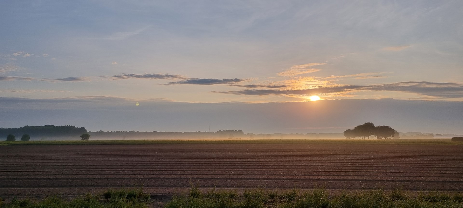 Week in beeld – week 25