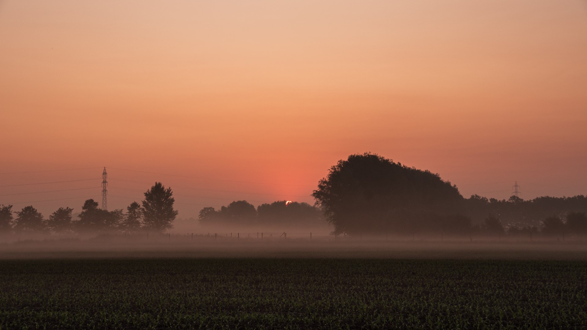 Zonsopgang in Waarschoot, aflevering zoveel