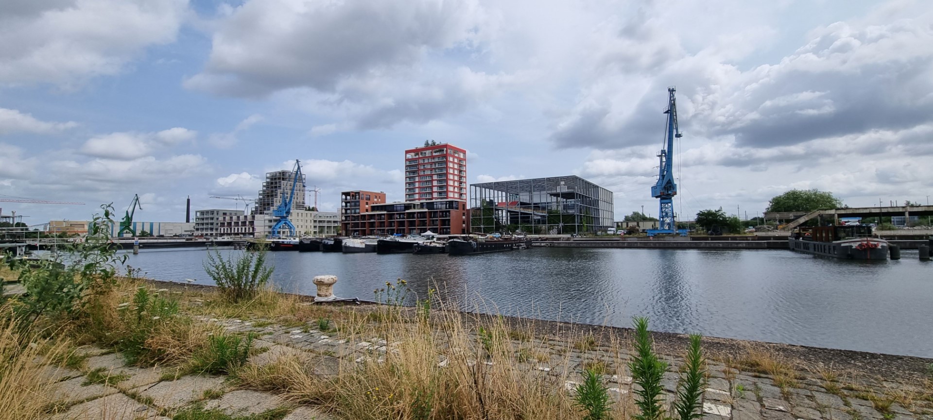 Week in beeld – week 27