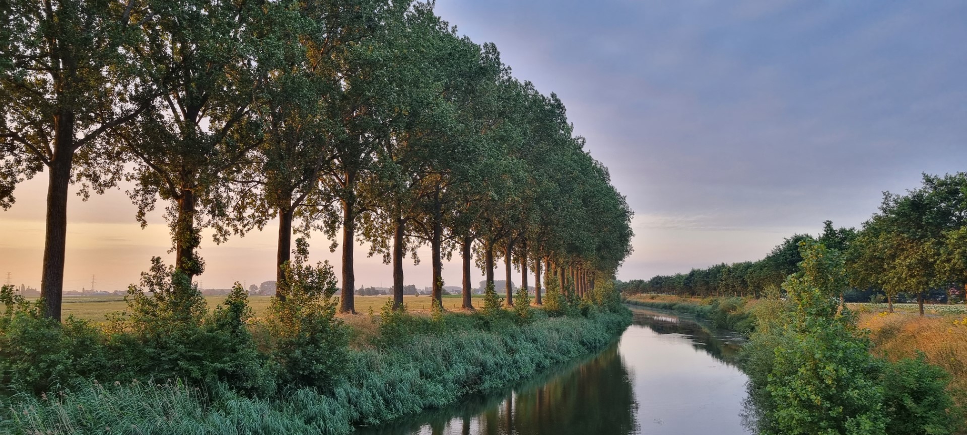 Week in beeld – week 28