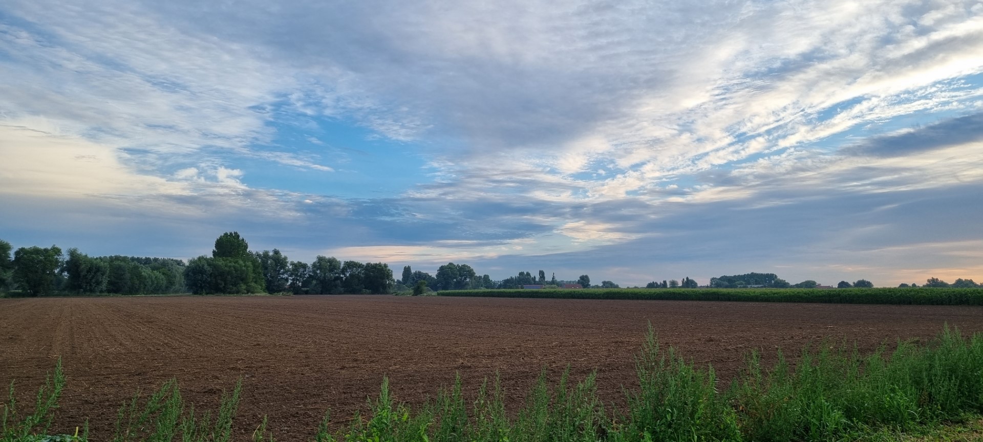 Week in beeld – week 33