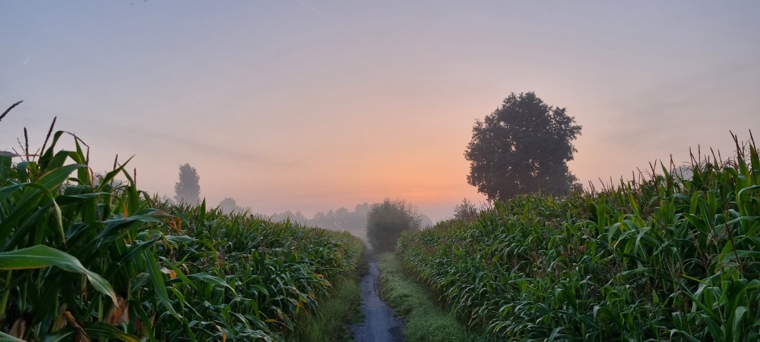 Week in beeld – week 37