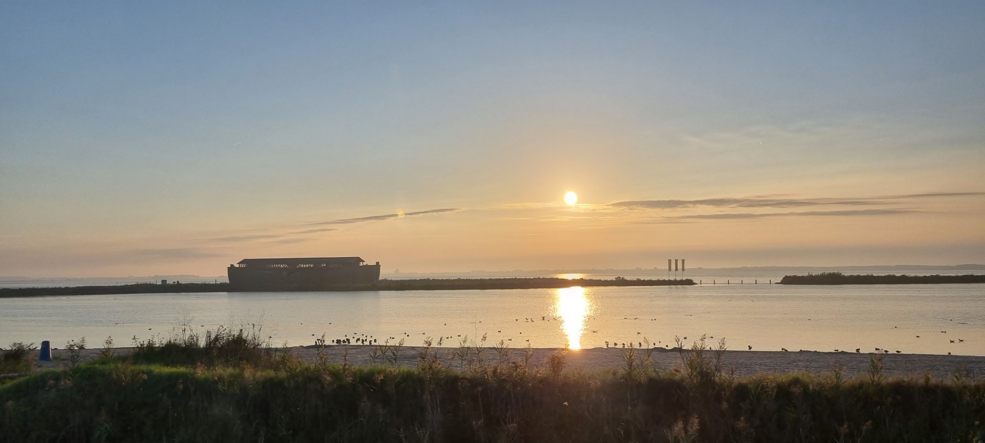 Week in beeld – week 38