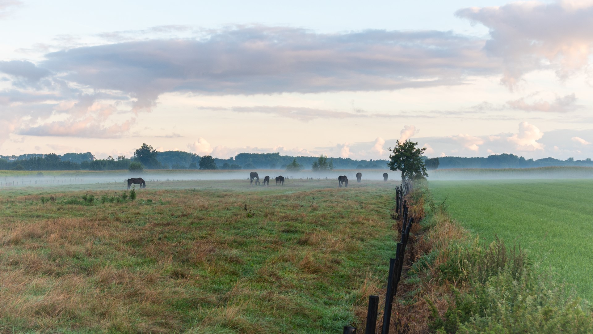 Week in beeld – week 35