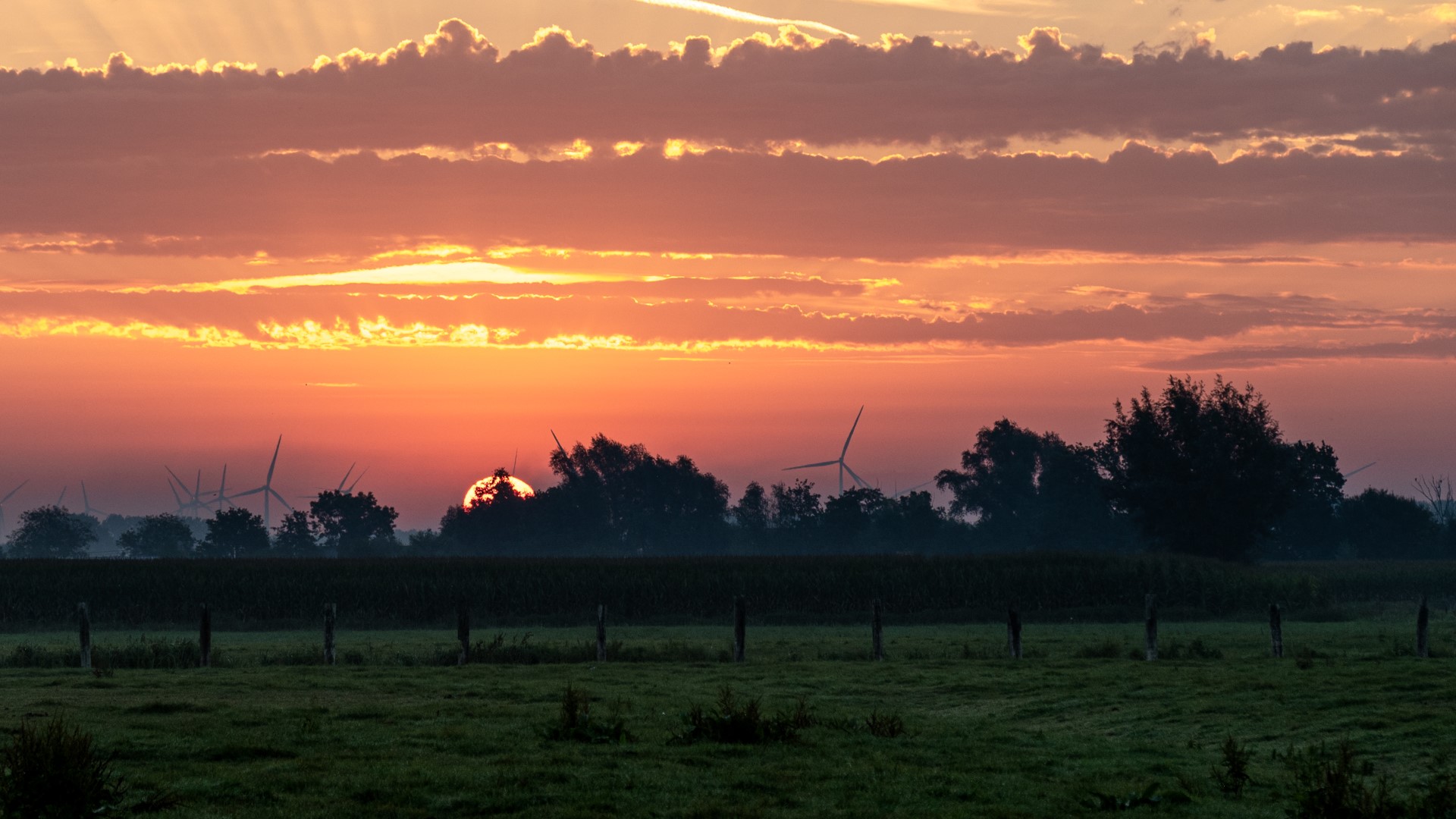Zonsopgang zonder paardjes
