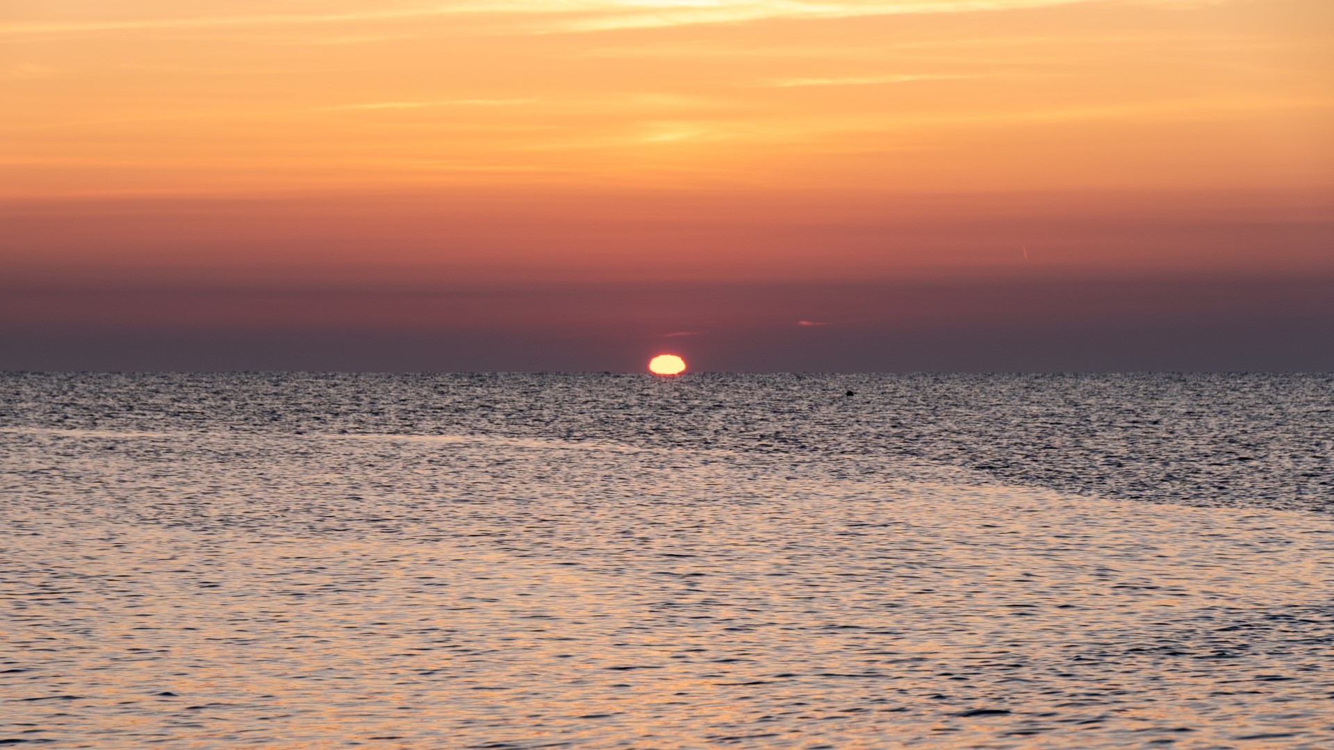 Terug naar ItaliÃ« (5)