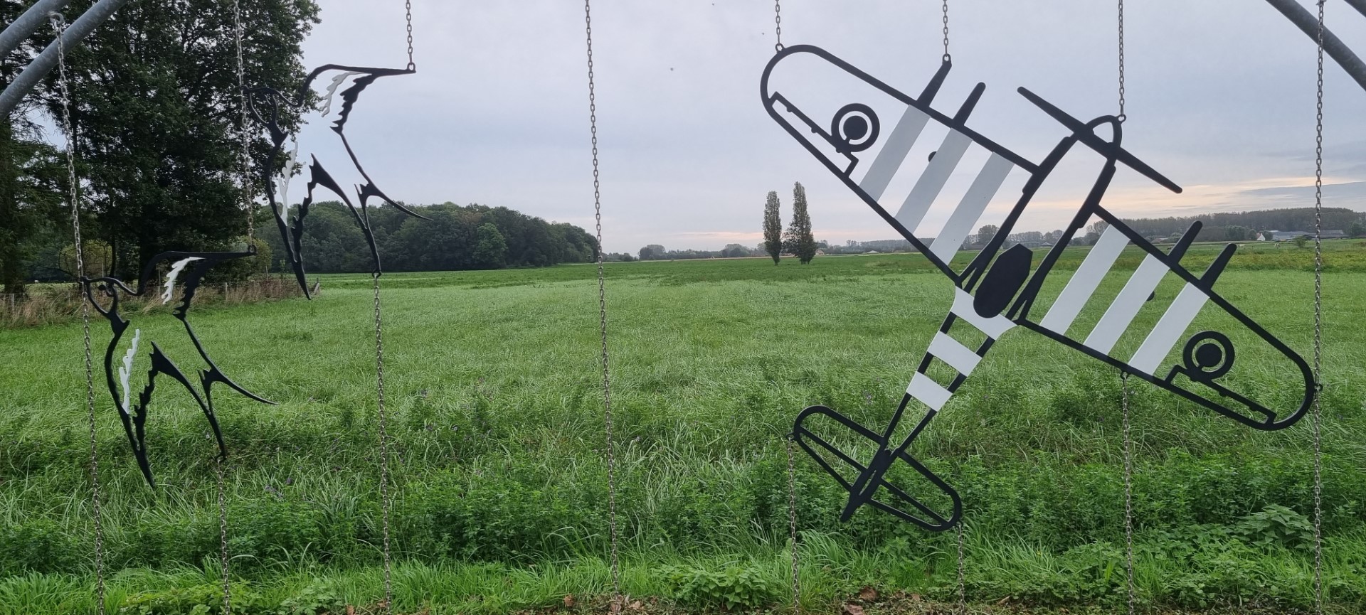 Week in beeld – week 40