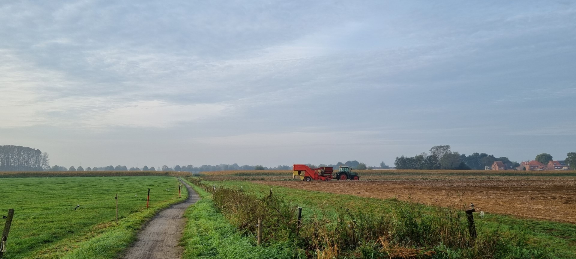 Week in beeld – week 41