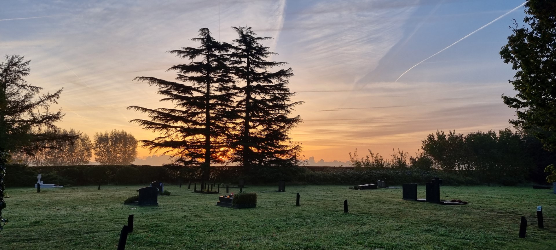 Week in beeld – week 43