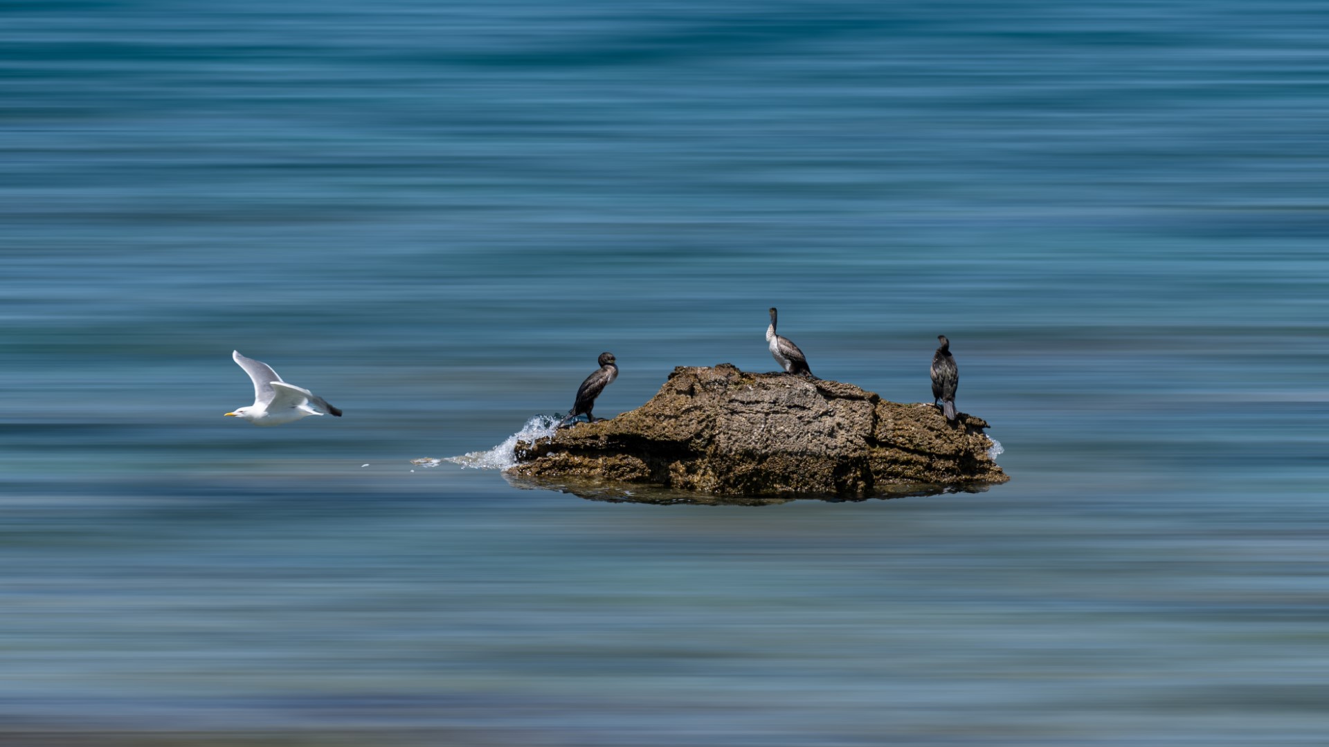 Fine Art Photography