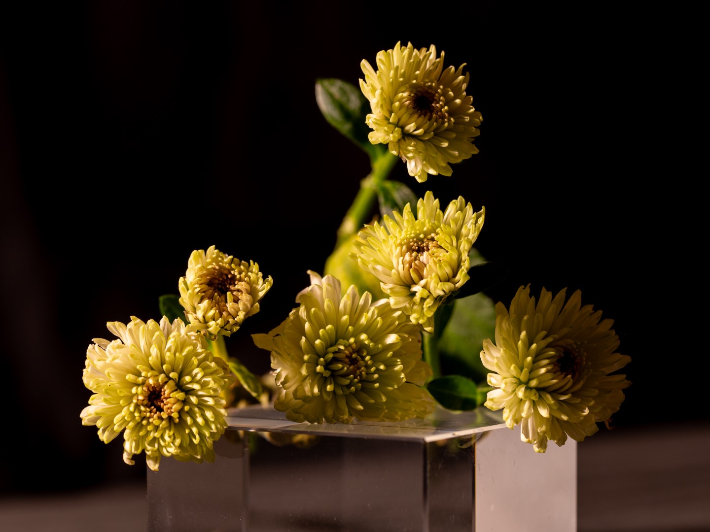 Week in beeld – week 45