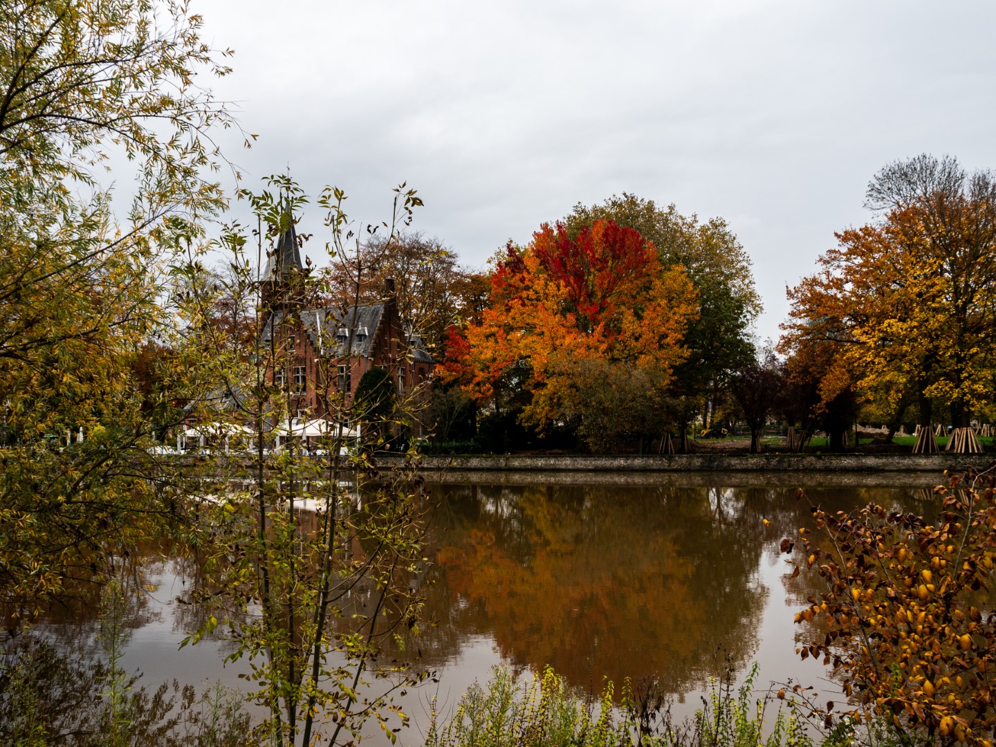 Week in beeld – week 46