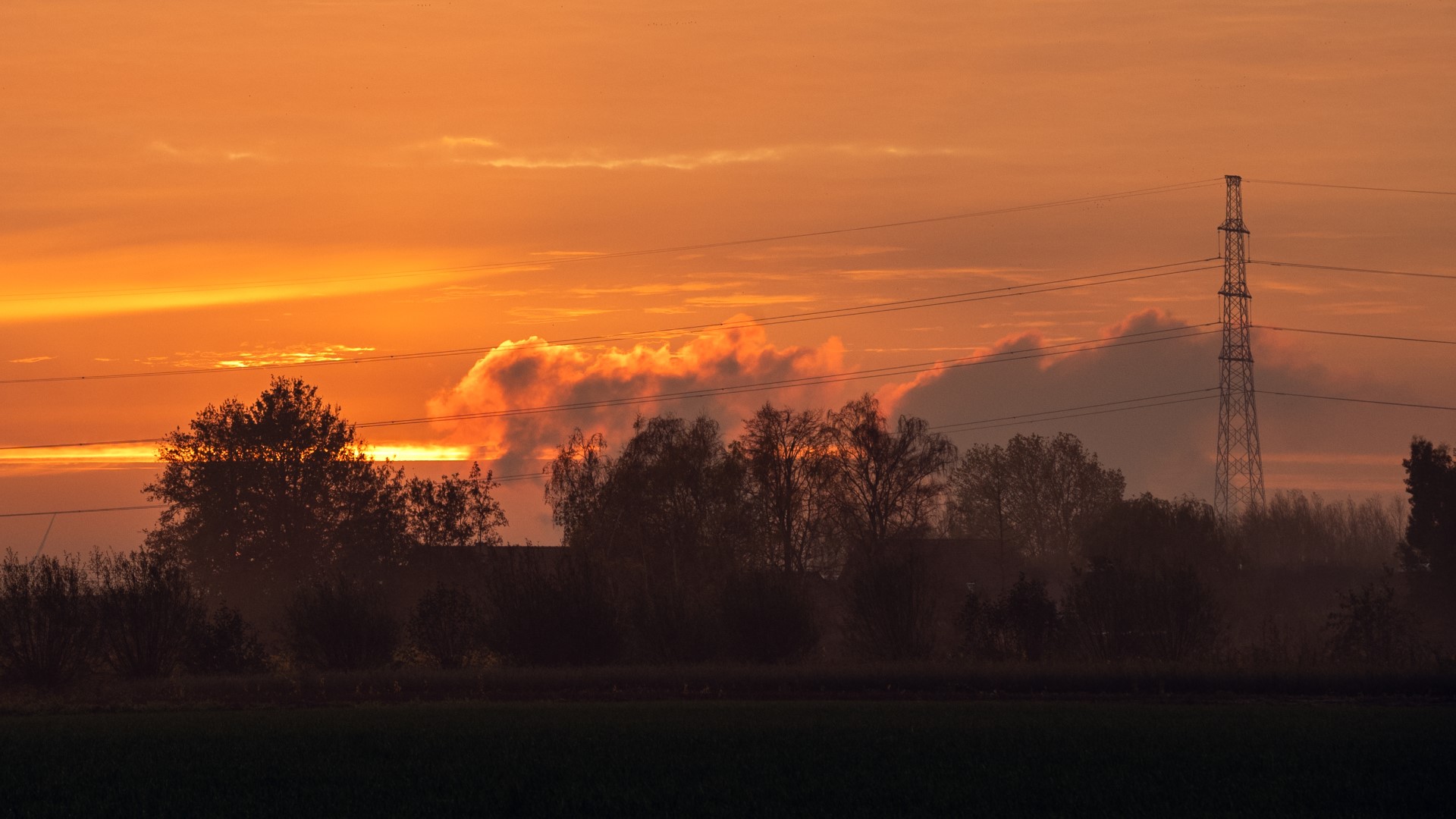 Week in beeld – week 47