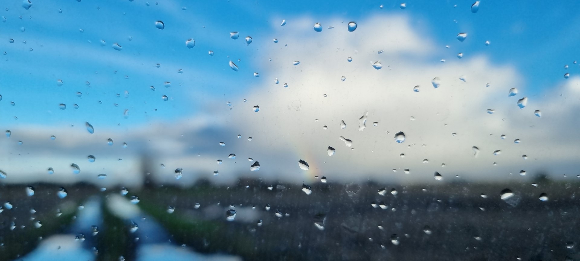 Week in beeld – week 48