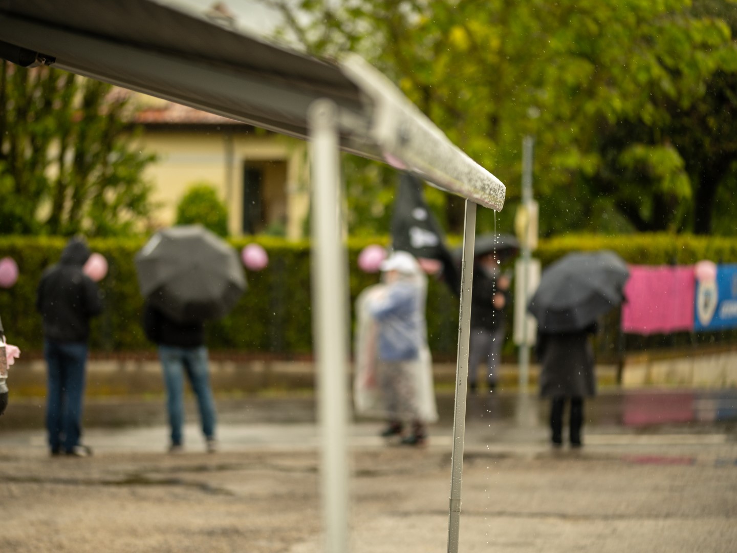Terug naar ItaliÃ« (15)