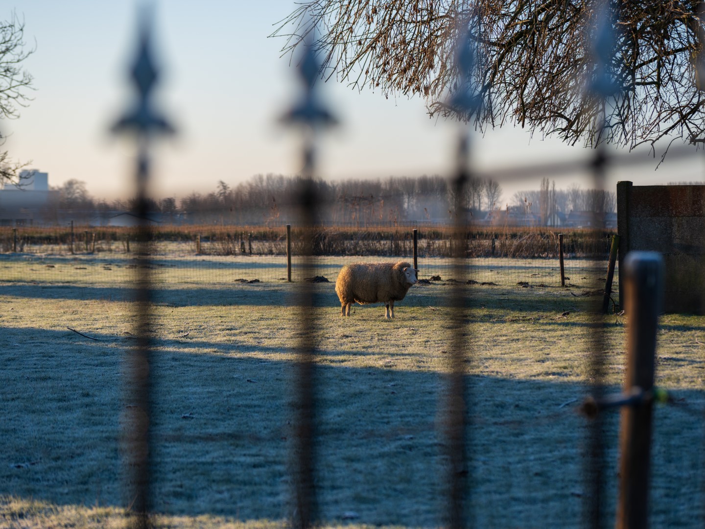 Week in beeld – week 4