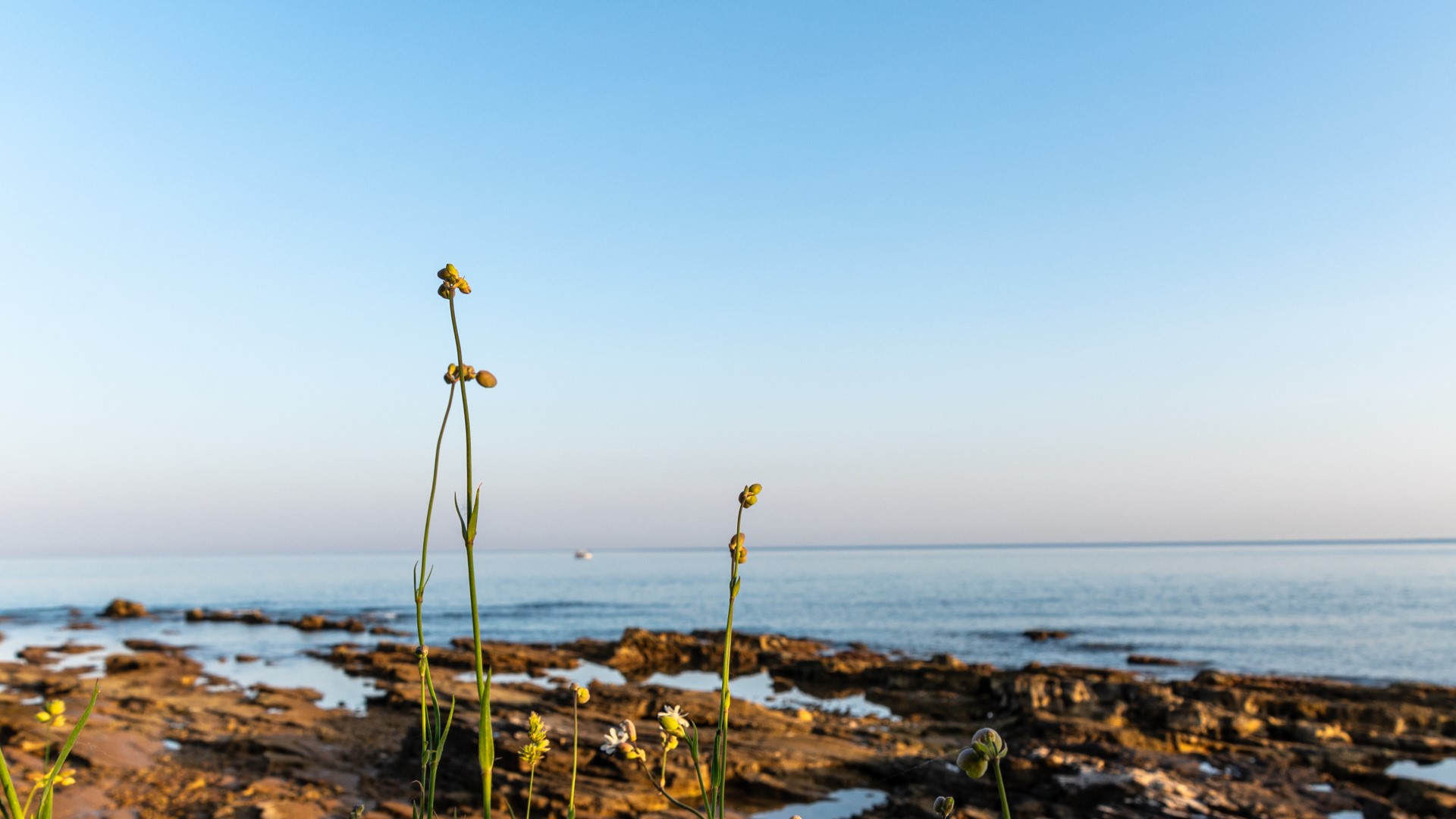 Terug naar ItaliÃ« (KroatiÃ«) (22)