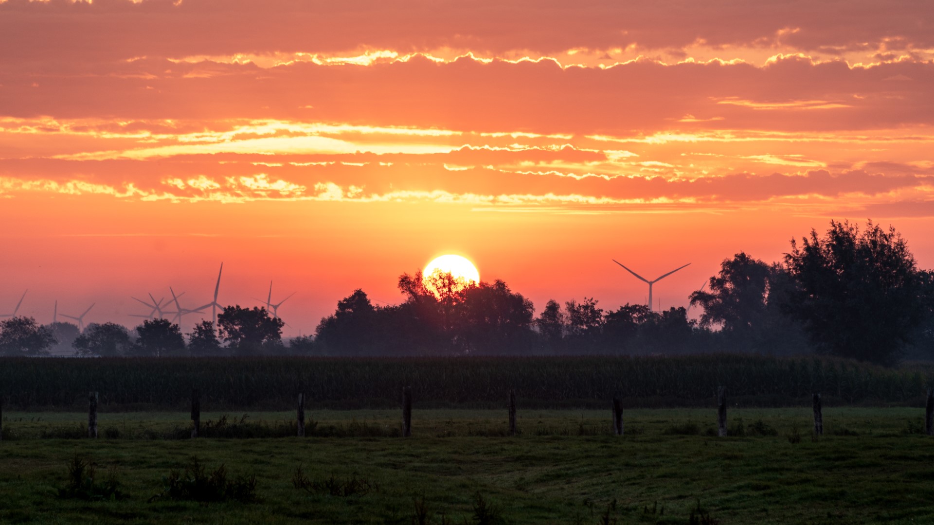 2023 in foto’s – deel 2