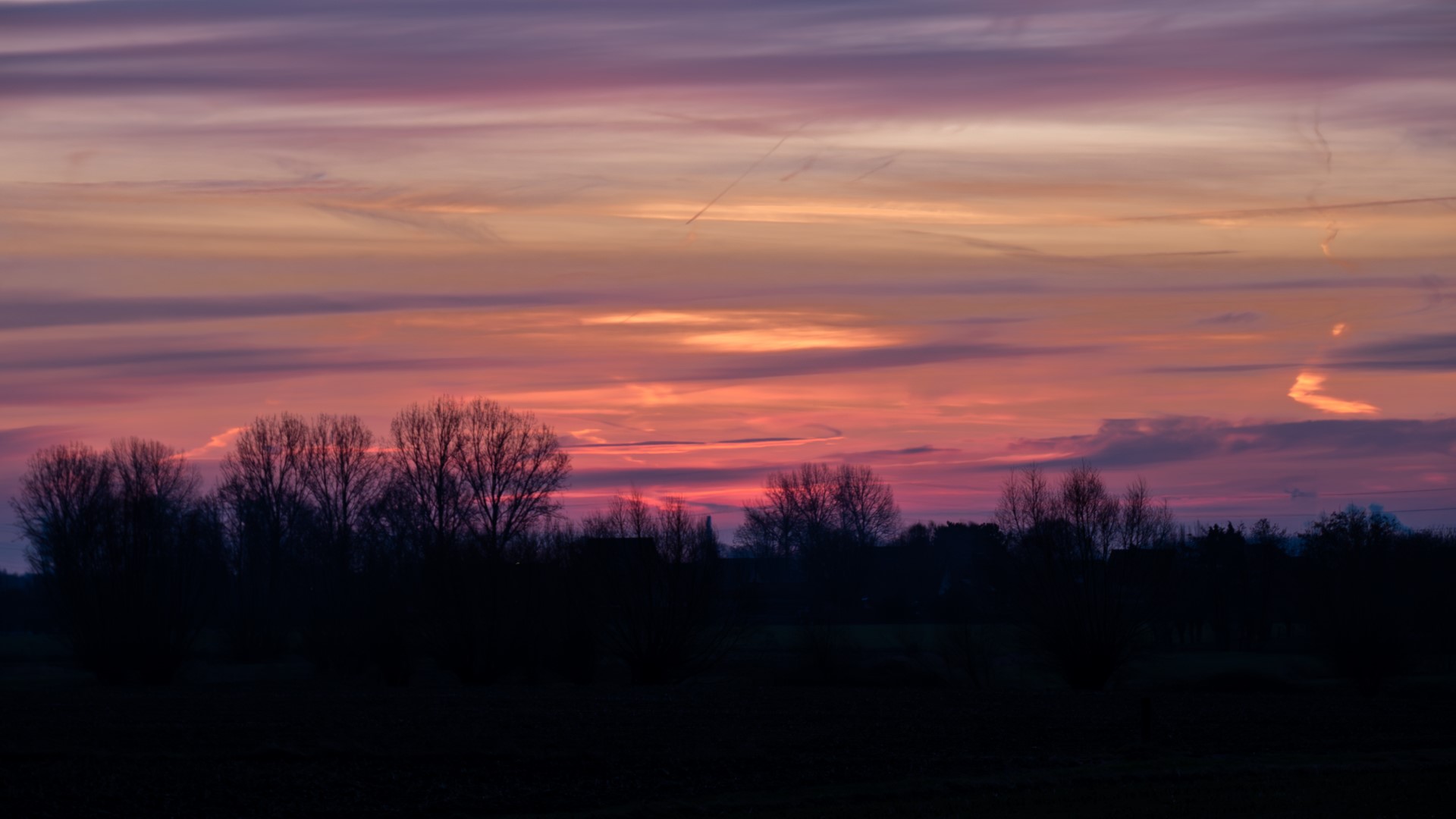 Week in beeld – week 5